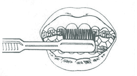 Brushing step 2